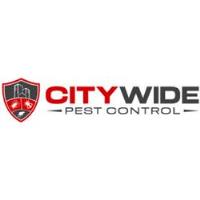 City Wide Pest Control Canberra image 1